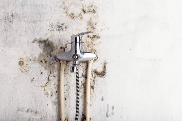 Best Office Mold Removal Services  in Conneaut Lakeshore, PA