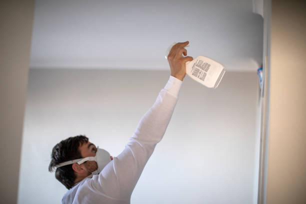 Home Mold Removal in Conneaut Lakeshore, PA