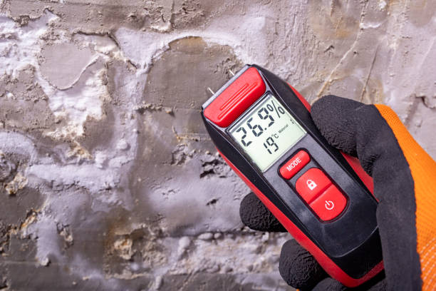 Office Mold Removal Services in Conneaut Lakeshore, PA