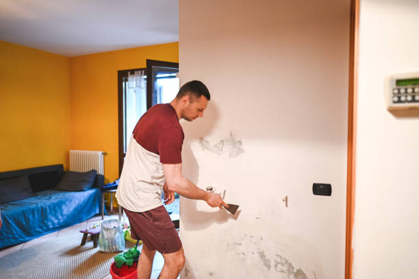 Best Certified Mold Removal  in Conneaut Lakeshore, PA